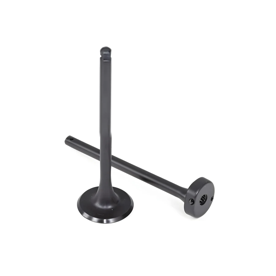 Engine Valve 2Y03-019 локальное изображение каталога мотозапчастей